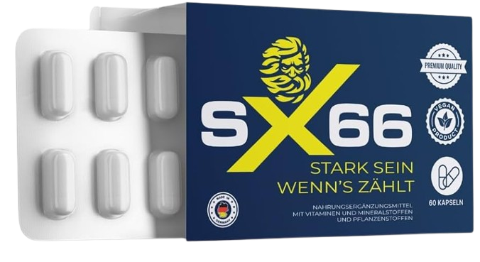 SX66 Packung